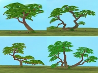 ���������꡼ No.010�Υ���ͥ������ / ��ntomo�פ˽����衣����ɽ���Ǥ��뿷�����ƥ�ʤɤ���������