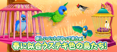 ���������꡼ No.006�Υ���ͥ������ / ��ntomo�ס������䤫��Ļã�Ȱ��˥ߥ˥ѡ������⤷�褦