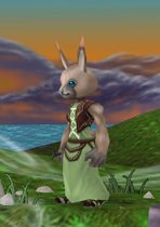 ꡼ No.005Υͥ / ֥饦MMORPG֤ΤפθǻѲǽʼ²ȥ饯ᥤ󥰾󤬸