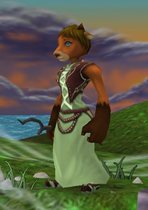 ꡼ No.012Υͥ / ֥饦MMORPG֤ΤפθǻѲǽʼ²ȥ饯ᥤ󥰾󤬸