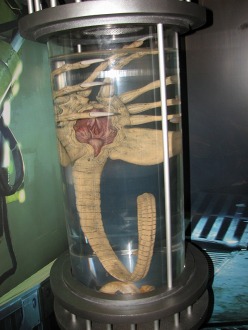 ꡼ No.006Υͥ / GamescomϡAliens: Colonial MarinesפΥץ쥤ޤǱǲ֥ꥢ2פˤäƺ줿ե޷ΰ