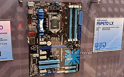 ꡼ No.005 | COMPUTEXϥޡʤ¿о줷ASUS֡ޥܡɤΥȥԥå­ǥå