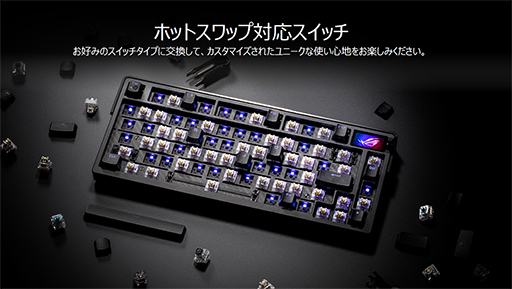 ���������꡼ No.005�Υ���ͥ������ / Rapid Trigger�б���65�󥭡��ܡ��ɤ䥫���ܥ���Ѥη��̥ޥ����ʤɡ�ASUS������ȯ��ͽ������ʤ����