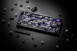 ꡼ No.008 | °ܥǥȥå򴹵ǽħ10쥹ܡɤȡܥեСܥǥη̥ޥASUSȯ