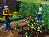 画像集#017のサムネイル/新しいシムズはこうなってしまった。EA，「The Sims 3」の詳細を発表
