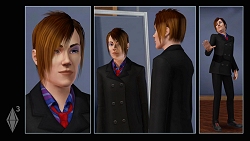 ���������꡼ No.009�Υ���ͥ������ / ��GC 2008��08�ϵס��˥�ǥ����������о줷����The Sims 3�פϳ�ȯ��Ĵ���ͻ�