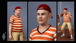 ���������꡼ No.012�Υ���ͥ������ / ��GC 2008��08�ϵס��˥�ǥ����������о줷����The Sims 3�פϳ�ȯ��Ĵ���ͻ�