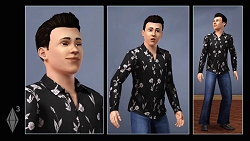 ���������꡼ No.013�Υ���ͥ������ / ��GC 2008��08�ϵס��˥�ǥ����������о줷����The Sims 3�פϳ�ȯ��Ĵ���ͻ�