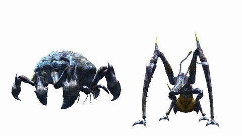 ꡼ No.008Υͥ / ֥ ץͥåȡפѥåפ֥ ץͥåȡˡפȯ䤬ץ⡼ࡼӡ4Gamer˥å