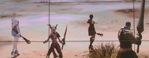 ꡼ No.006Υͥ / MMORPGTERAסƥȥץ쥤ǤΥեȥץå