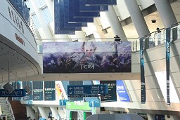 ꡼ No.013 | ưФTERAסܱĥץǥ塼뼡奲̥ϤȹŸ