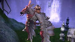 ꡼ No.037 | ܺTERAפCBT򿶤֤ꡤ٤OBT˸Ƥΰյߤʤɤץǥ塼ʹƤߤ