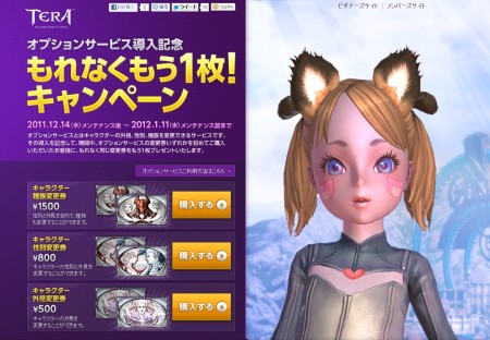 ���������꡼ No.002�Υ���ͥ������ / ��TERA�ס�����饯�����μ�²�ʤɤ��ѹ��Ǥ��륪�ץ���󥵡��ӥ����ѹ����פ�Ƴ�������ˤʤ뤢�μ�²�ؾ�괹��������