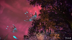 ꡼ No.003 | TERAץץ쥤䡼˾緿åץǡȡ֥르ν PART.1פοϤ1ƤϿեɡˤĤ