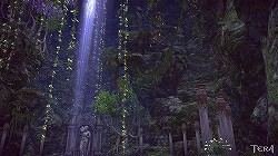 ꡼ No.015 | TERAץץ쥤䡼˾緿åץǡȡ֥르ν PART.1פοϤ1ƤϿեɡˤĤ