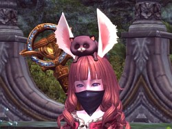 ꡼ No.012 | TERAפΥ饯ˤʤ򡪡緿åץǡȡ֥르ν PART.1פǤϡʤɤοƥबɲ