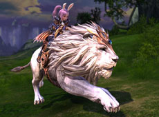 ꡼ No.010Υͥ / TERAסʥꥢ󥸥ɲäޤ緿åץǡȡ֥르ν PART.1פ»