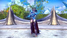 ꡼ No.013Υͥ / 褤̵TERAץåץǡȡֲפС֥ꥢפ⥪ץ