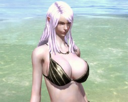 画像ギャラリー No.015のサムネイル画像 / 「TERA」,サービス開始2周年を記念する7つのイベント&キャンペーンが実施