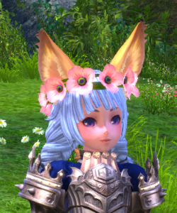 画像ギャラリー No.005のサムネイル画像 / 「TERA」，個性豊かで可愛らしい「こぶたなのりもの」がTERAガチャに登場