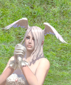 ������#002�Υ���ͥ���/��TERA�ץ�����ǥ󥦥������˸�����3�祤�٥�Ȥ�������곫��