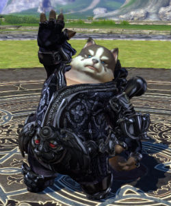 画像ギャラリー No.003のサムネイル画像 / 「TERA」に武器アバター「森の仲間」シリーズが手に入るイベントが開催