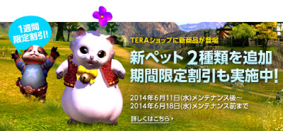 画像ギャラリー No.010のサムネイル画像 / 「TERA」に武器アバター「森の仲間」シリーズが手に入るイベントが開催