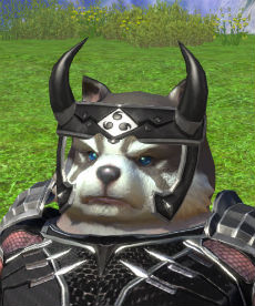 画像ギャラリー No.006のサムネイル画像 / 「TERA」，ガチャに「桜花月影アバター」が再登場。初回特典は頭アバター