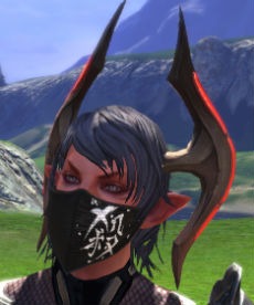 画像ギャラリー No.007のサムネイル画像 / 「TERA」，ガチャに「桜花月影アバター」が再登場。初回特典は頭アバター