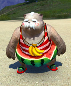 画像集#006のサムネイル/「TERA」,2014 水着アバターやポポリメダルなどが当たるTERAガチャが登場