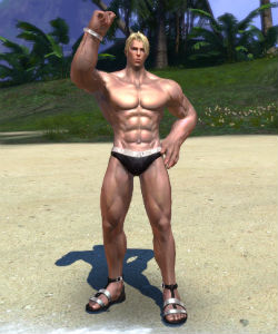 画像集#007のサムネイル/「TERA」,2014 水着アバターやポポリメダルなどが当たるTERAガチャが登場