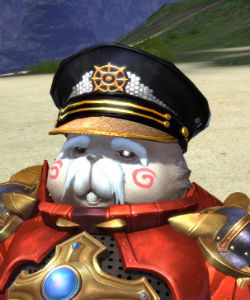 画像集#009のサムネイル/「TERA」,2014 水着アバターやポポリメダルなどが当たるTERAガチャが登場