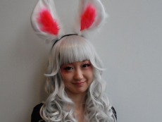 ꡼ No.005Υͥ / TERAסϢ³åץǡ2ơ֥Хʤλ֡פ430˼Ϥ2ĤΥ󥸥ĩ路褦