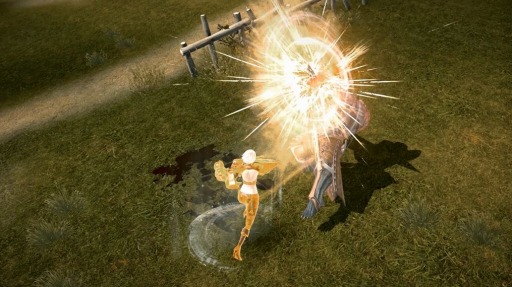 画像ギャラリー No.004のサムネイル画像 / 「TERA」新クラス「ファイター」の紹介PVを公開。範囲攻撃など多彩なアクションに注目