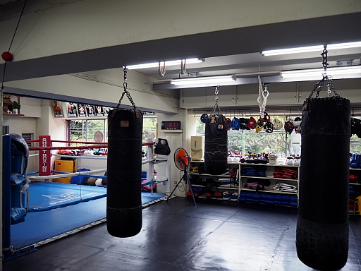 ꡼ No.001Υͥ / TERAפ˼뿷饹֥եפˤʤꤿޤߤȹࡹ󤬡ץƮRENAλƳǥȥ졼˥