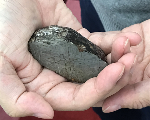 ꡼ No.032Υͥ / TERAס󥸥֥饱ꥹҡ׼ľѥåפ顼ǡ褷ꥹȤο襤ĩǤߤ