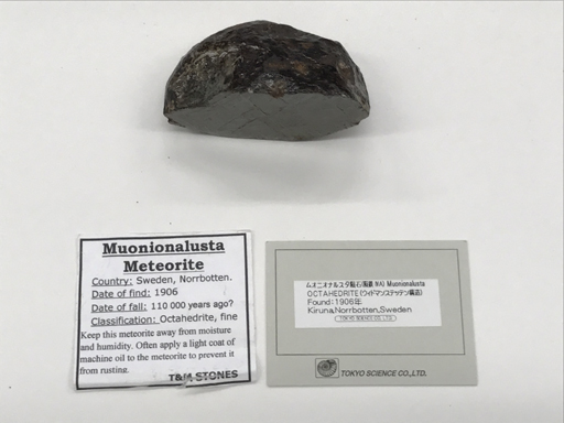 ꡼ No.033Υͥ / TERAס󥸥֥饱ꥹҡ׼ľѥåפ顼ǡ褷ꥹȤο襤ĩǤߤ