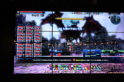 ꡼ No.029 | TERA׽Ȥʤ쥤ɥܥָε٥르פθݡȡʥ٥르ζ˻üã