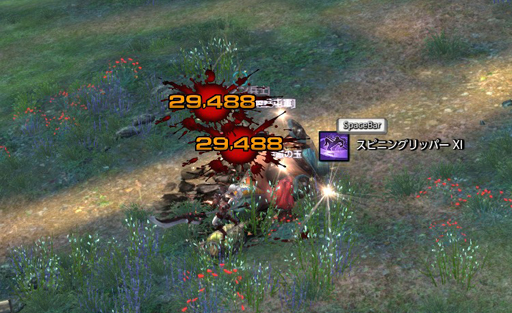 ꡼ No.018Υͥ / TERA13֤ο饹֥ࡼ󥰥쥤Сץץ쥤ݡȡͭƥַפ򤫤᤿ܤϢȤ