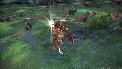 ꡼ No.019Υͥ / TERA13֤ο饹֥ࡼ󥰥쥤Сץץ쥤ݡȡͭƥַפ򤫤᤿ܤϢȤ