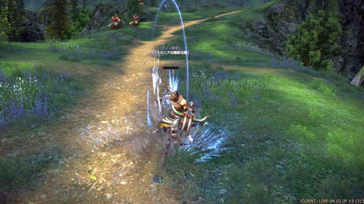 ꡼ No.021Υͥ / TERA13֤ο饹֥ࡼ󥰥쥤Сץץ쥤ݡȡͭƥַפ򤫤᤿ܤϢȤ