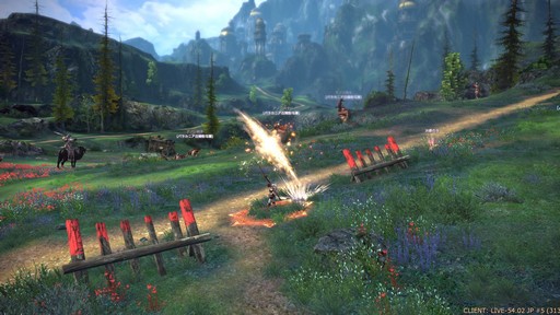 ꡼ No.022Υͥ / TERA13֤ο饹֥ࡼ󥰥쥤Сץץ쥤ݡȡͭƥַפ򤫤᤿ܤϢȤ