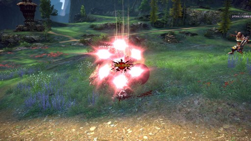 ꡼ No.024Υͥ / TERA13֤ο饹֥ࡼ󥰥쥤Сץץ쥤ݡȡͭƥַפ򤫤᤿ܤϢȤ