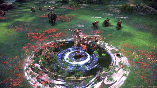 ꡼ No.029Υͥ / TERA13֤ο饹֥ࡼ󥰥쥤Сץץ쥤ݡȡͭƥַפ򤫤᤿ܤϢȤ