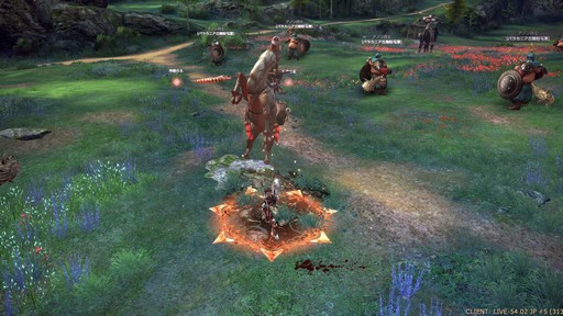 ꡼ No.034Υͥ / TERA13֤ο饹֥ࡼ󥰥쥤Сץץ쥤ݡȡͭƥַפ򤫤᤿ܤϢȤ