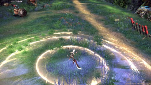 ꡼ No.035Υͥ / TERA13֤ο饹֥ࡼ󥰥쥤Сץץ쥤ݡȡͭƥַפ򤫤᤿ܤϢȤ