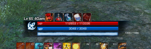 ꡼ No.045Υͥ / TERA13֤ο饹֥ࡼ󥰥쥤Сץץ쥤ݡȡͭƥַפ򤫤᤿ܤϢȤ