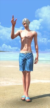 画像ギャラリー No.002のサムネイル画像 / 「TERA」，インナー装備に伝説Vランクの「エクササイズシルクインナー」が登場