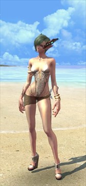 画像ギャラリー No.004のサムネイル画像 / 「TERA」，インナー装備に伝説Vランクの「エクササイズシルクインナー」が登場