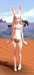画像ギャラリー No.008のサムネイル画像 / 「TERA」，インナー装備に伝説Vランクの「エクササイズシルクインナー」が登場